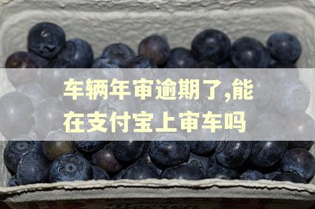 车辆年审逾期了,能在支付宝上审车吗 车辆年审逾期了,能在支付宝上审车吗
