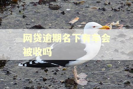 网贷逾期名下有车会被收吗