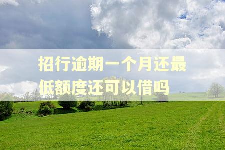 招行逾期一个月还最低额度还可以借吗