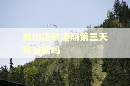 美团借款逾期第三天算逾期吗