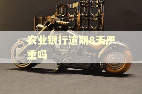 农业银行逾期8天严重吗