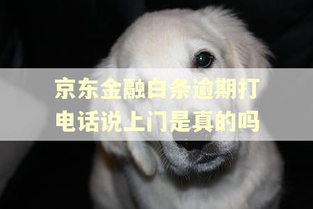 京东金融白条逾期打电话说上门是真的吗