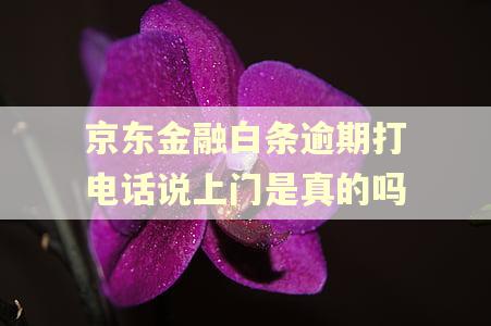 京东金融白条逾期打电话说上门是真的吗