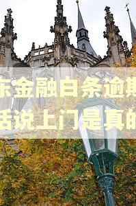 京东金融白条逾期打电话说上门是真的吗 京东金融白条逾期打电话说上门是真的吗