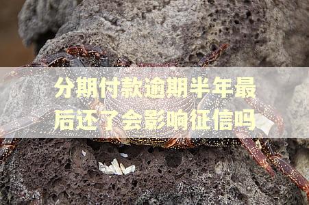 分期付款逾期半年最后还了会影响征信吗 分期付款逾期半年最后还了会影响征信吗