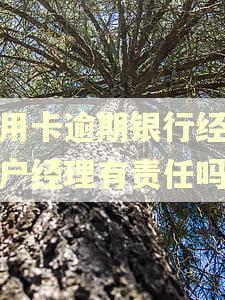 信用卡逾期银行经办客户经理有责任吗 信用卡逾期银行经办客户经理有责任吗