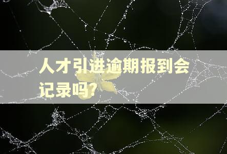 人才引进逾期报到会记录吗?