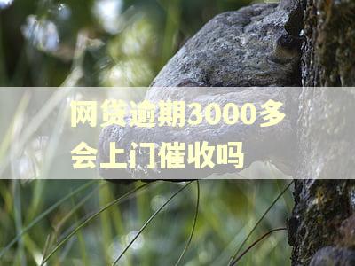 网贷逾期3000多会上门催收吗