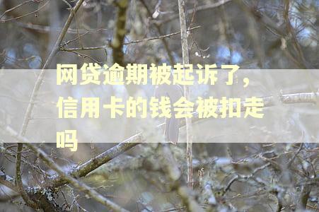 网贷逾期被起诉了,信用卡的钱会被扣走吗