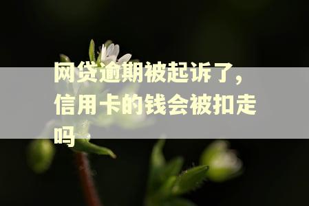 网贷逾期被起诉了,信用卡的钱会被扣走吗 网贷逾期被起诉了,信用卡的钱会被扣走吗