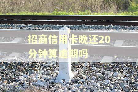 招商信用卡晚还20分钟算逾期吗