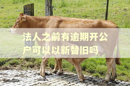 法人之前有逾期开公户可以以新替旧吗