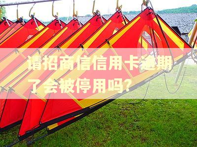 请招商信信用卡逾期了会被停用吗?
