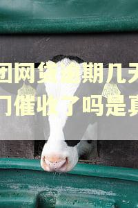 美团网贷逾期几天就上门催收了吗是真的吗
