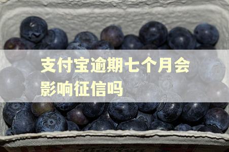 支付宝逾期七个月会影响征信吗