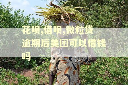 花呗,借呗,微粒贷逾期后美团可以借钱吗