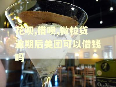 花呗,借呗,微粒贷逾期后美团可以借钱吗