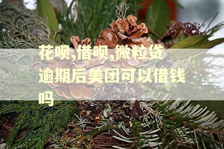 花呗,借呗,微粒贷逾期后美团可以借钱吗