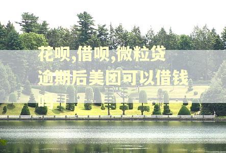 花呗,借呗,微粒贷逾期后美团可以借钱吗
