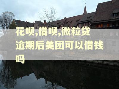 花呗,借呗,微粒贷逾期后美团可以借钱吗 花呗,借呗,微粒贷逾期后美团可以借钱吗