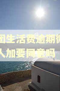美团生活费逾期微信有人加要同意吗