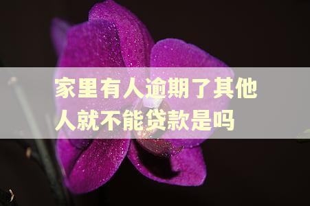 家里有人逾期了其他人就不能贷款是吗