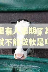家里有人逾期了其他人就不能贷款是吗