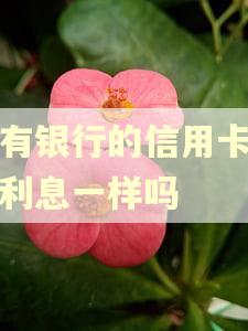 所有银行的信用卡逾期利息一样吗 所有银行的信用卡逾期利息一样吗