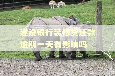 建设银行装修贷还款逾期一天有影响吗