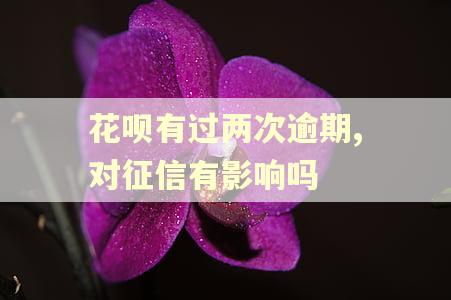 花呗有过两次逾期,对征信有影响吗