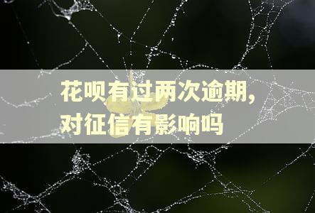 花呗有过两次逾期,对征信有影响吗