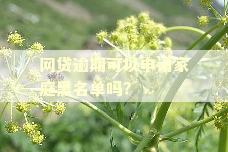 网贷逾期可以申请家庭黑名单吗?