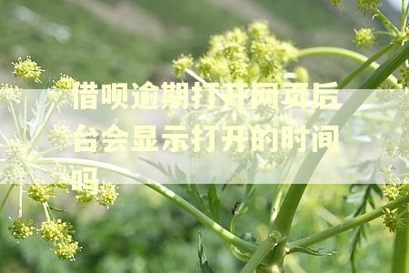 借呗逾期打开网页后台会显示打开的时间吗