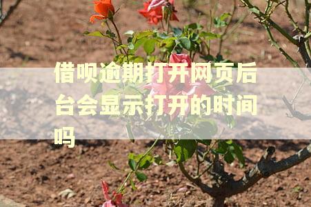 借呗逾期打开网页后台会显示打开的时间吗