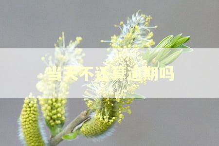 当天不还算逾期吗