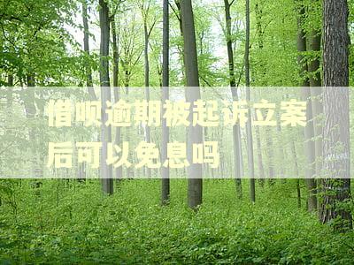 借呗逾期被起诉立案后可以免息吗