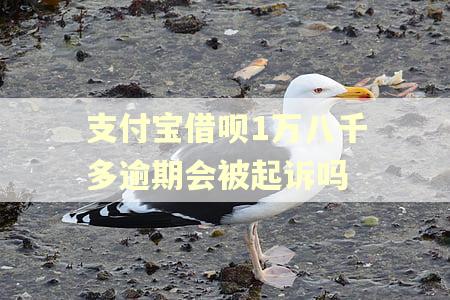 支付宝借呗1万八千多逾期会被起诉吗