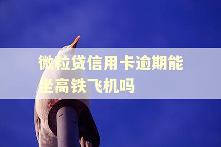 微粒贷信用卡逾期能坐高铁飞机吗
