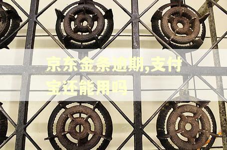 京东金条逾期,支付宝还能用吗