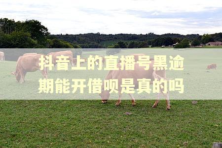 抖音上的直播号黑逾期能开借呗是真的吗 抖音上的直播号黑逾期能开借呗是真的吗