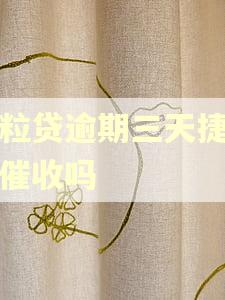 微粒贷逾期三天捷信会催收吗