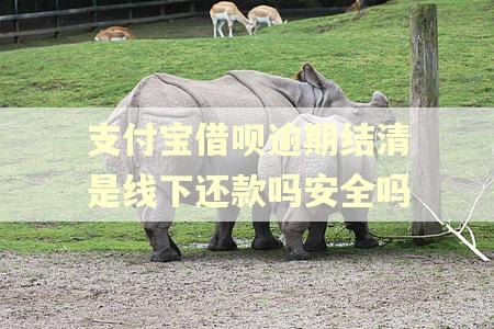 支付宝借呗逾期结清是线下还款吗安全吗