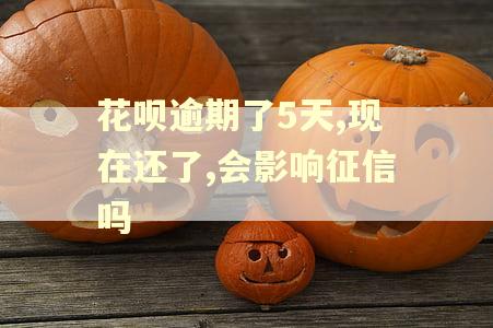 花呗逾期了5天,现在还了,会影响征信吗