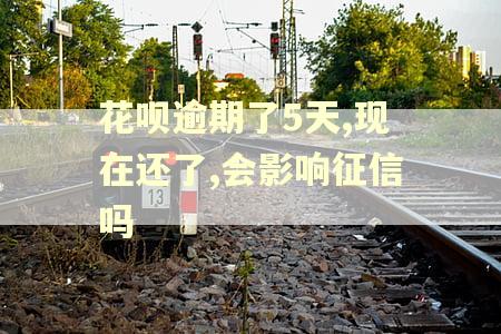 花呗逾期了5天,现在还了,会影响征信吗