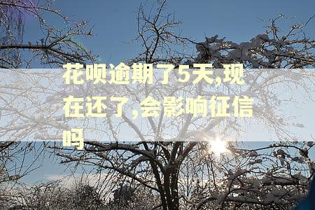 花呗逾期了5天,现在还了,会影响征信吗