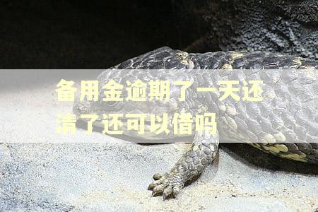 备用金逾期了一天还清了还可以借吗 备用金逾期了一天还清了还可以借吗