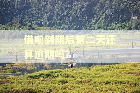 借呗到期后第二天还算逾期吗？