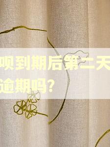 借呗到期后第二天还算逾期吗？