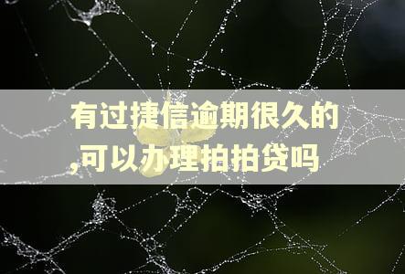 有过捷信逾期很久的,可以办理拍拍贷吗