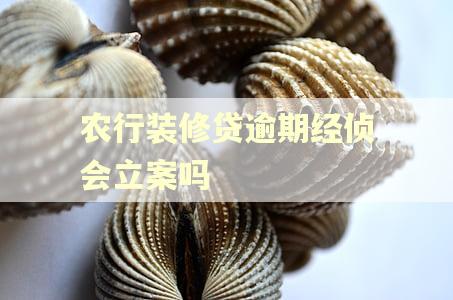 农行装修贷逾期经侦会立案吗